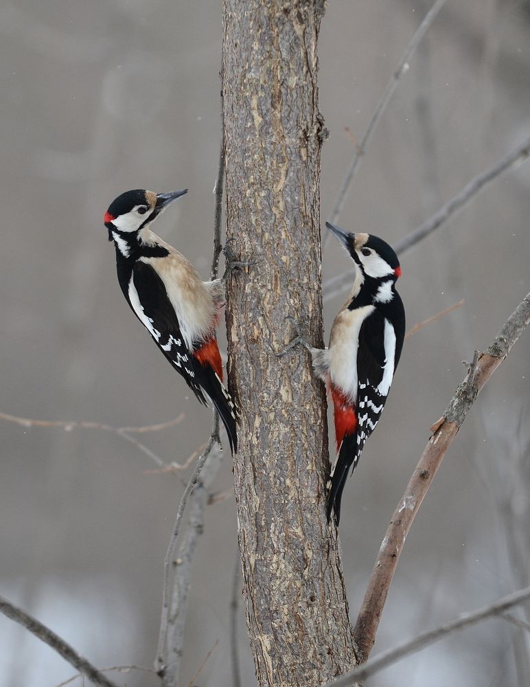 Photograph by Алексей Volg