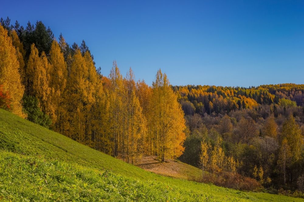 Photograph by Юлия Крюкова