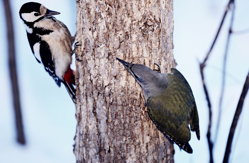 Photograph by Алексей Volg