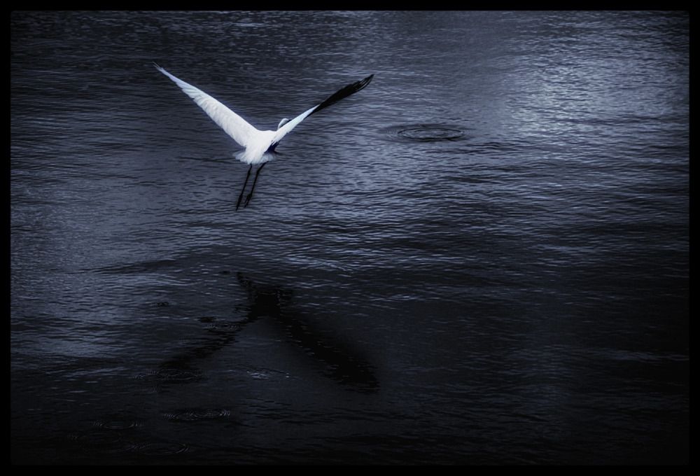 Photograph by Алена Лосева