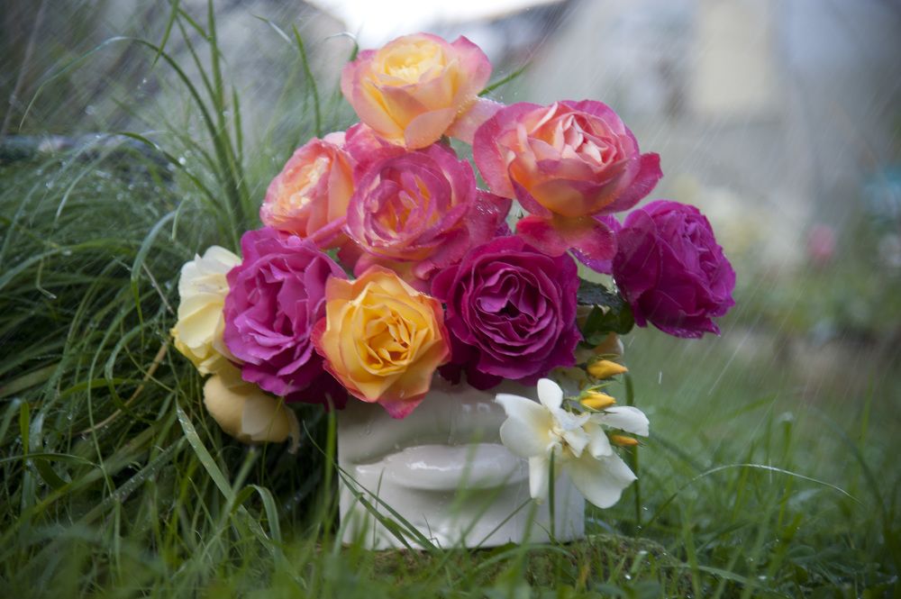 Photograph by Tatiana Troitskaya