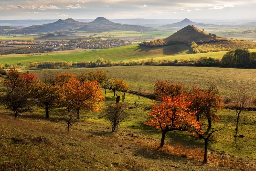 Photograph by Jiří Hakauf