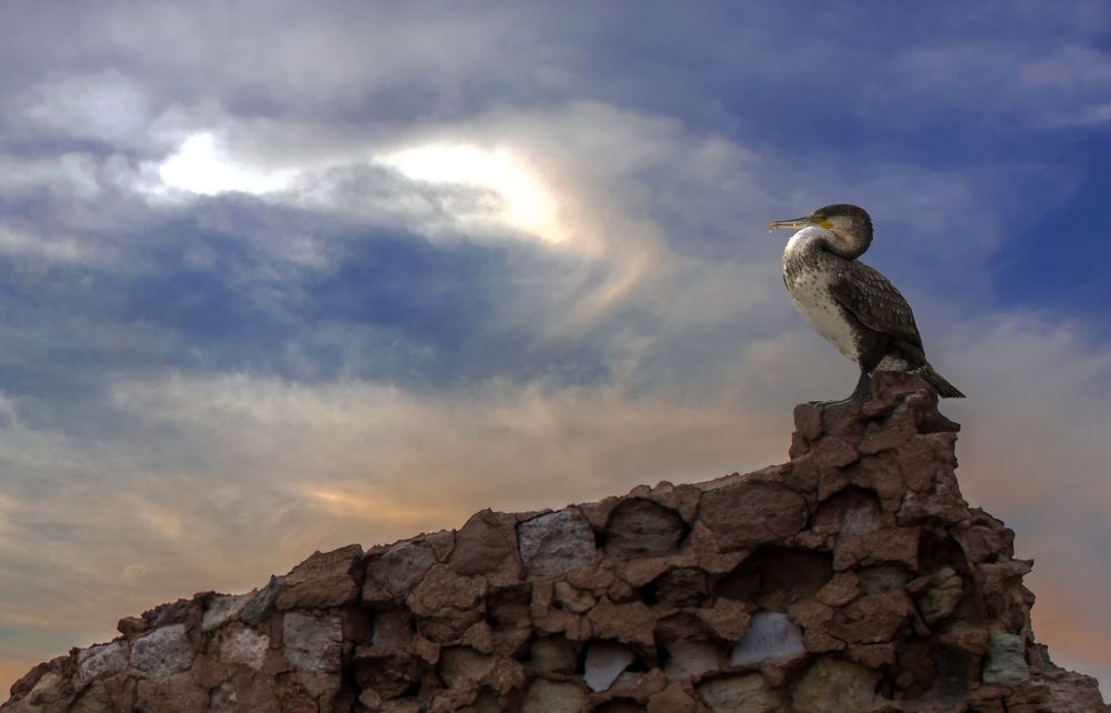 Photograph by محمودرضا نورایی