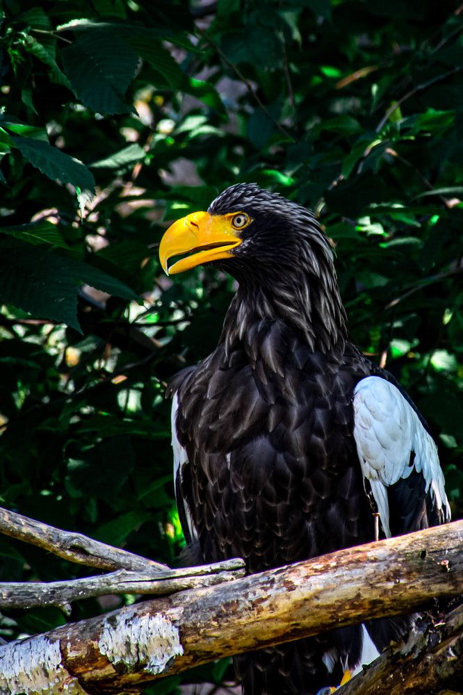 Photograph by Людмила Баймухаметова