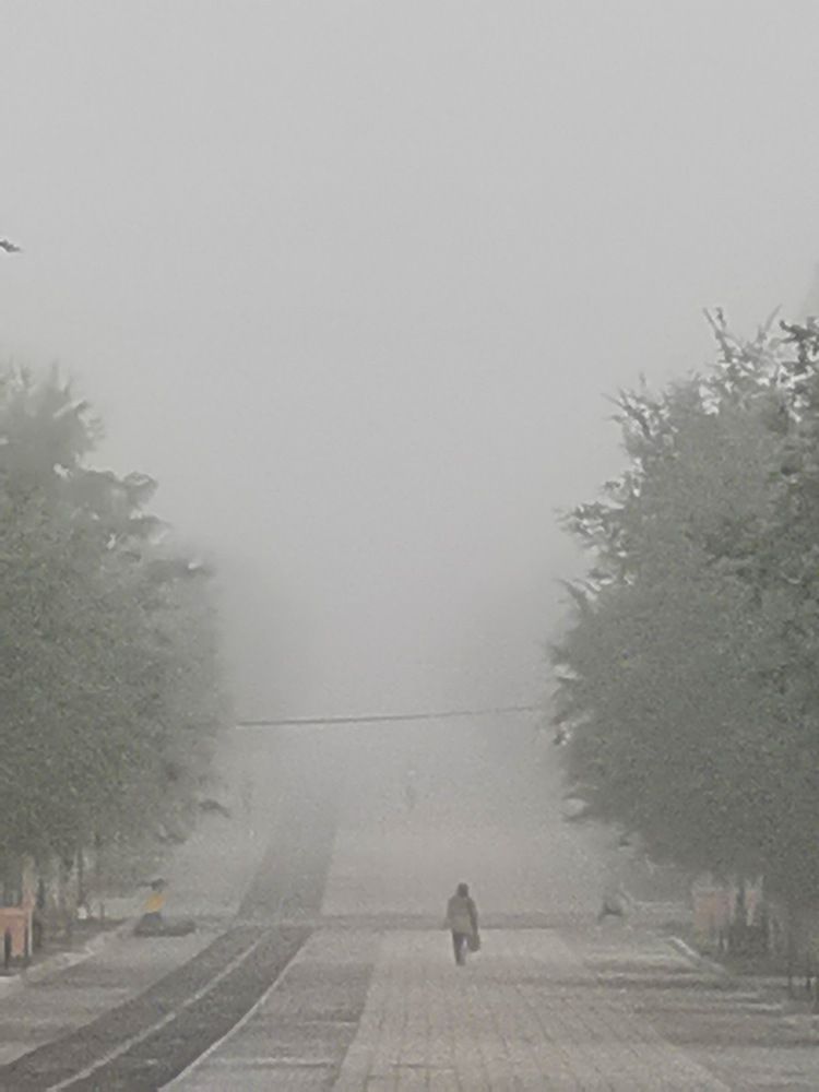 Photograph by Alexey Reznichenko