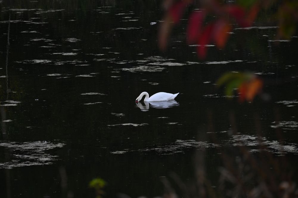 Photograph by Марина Юркова