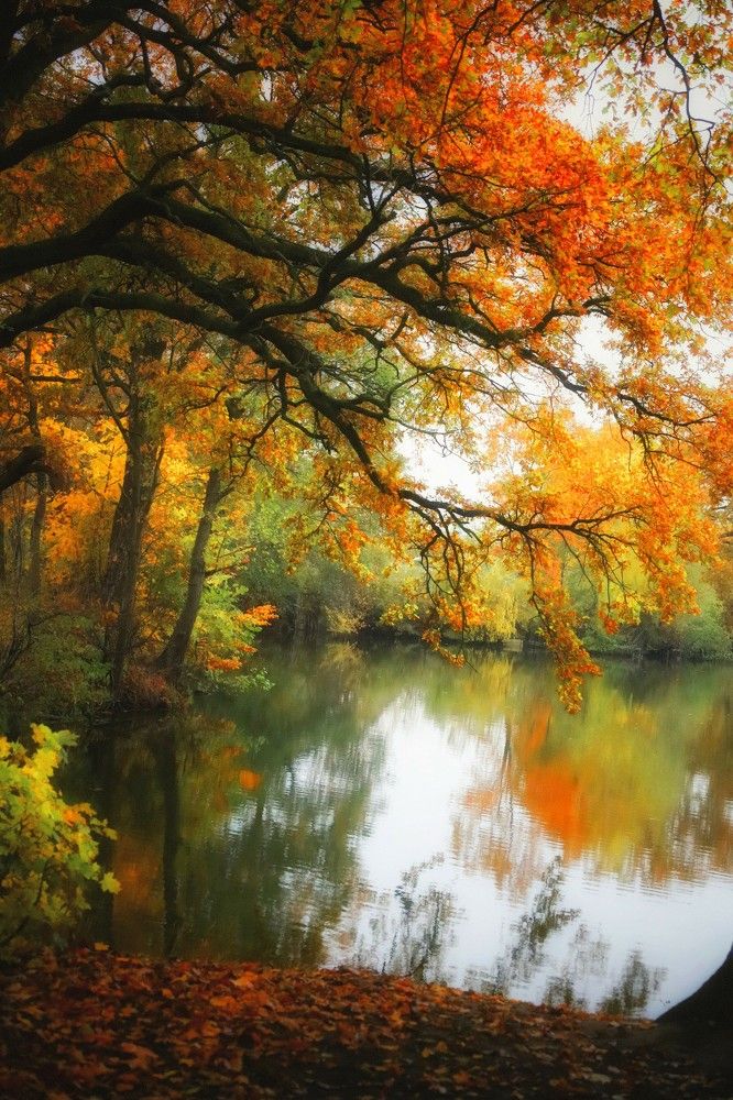 Photograph by Татьяна Максакова