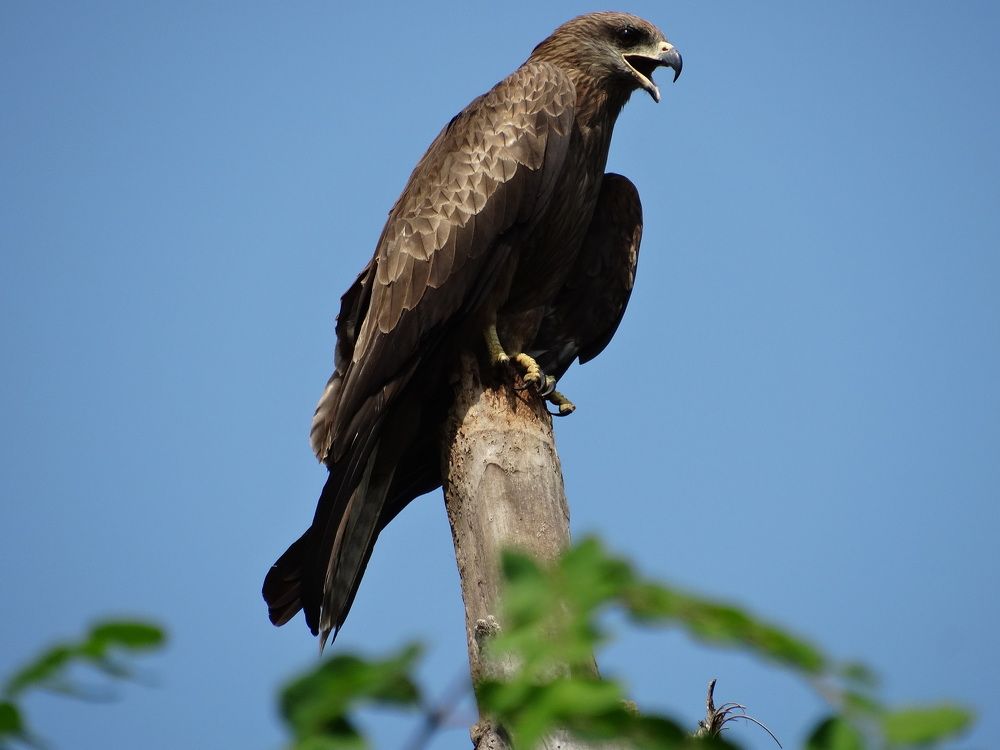 Photograph by Виктор Бута