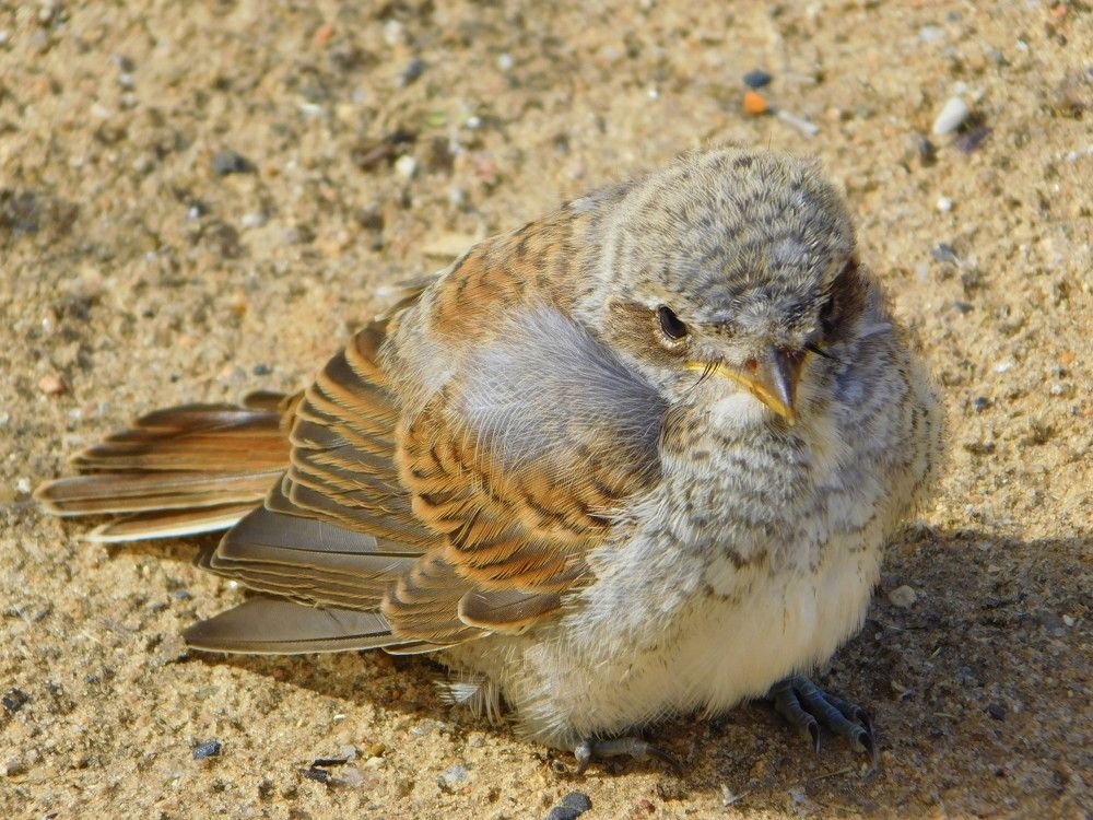 Photograph by Оксана Демидова