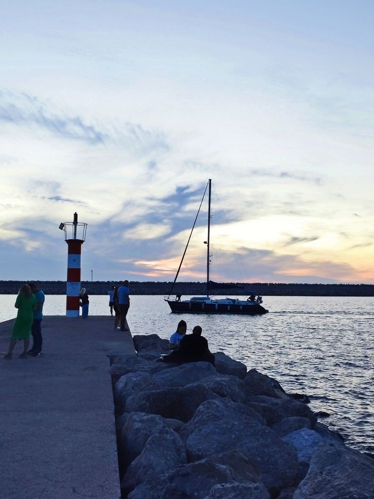 Фотография автора JELENA VASIC