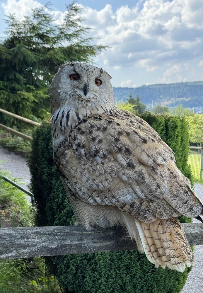 Photograph by Rozaliya Volosevich