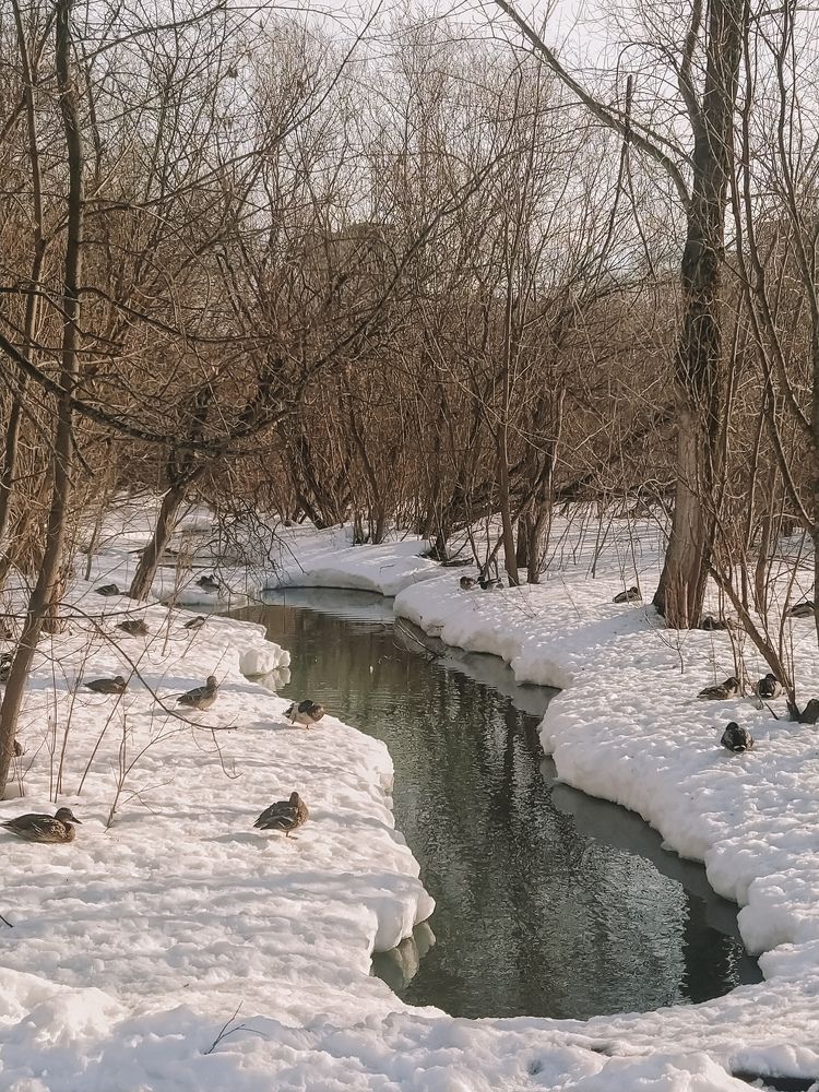 Photograph by Мария Таскаева