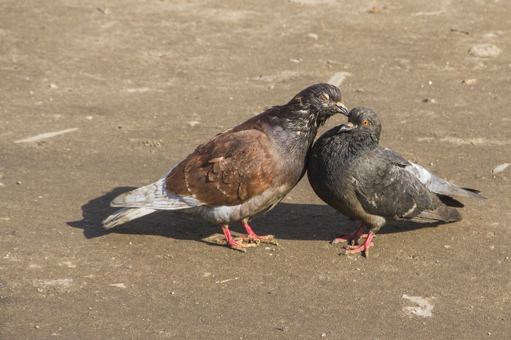 Photograph by Pavel Gukov