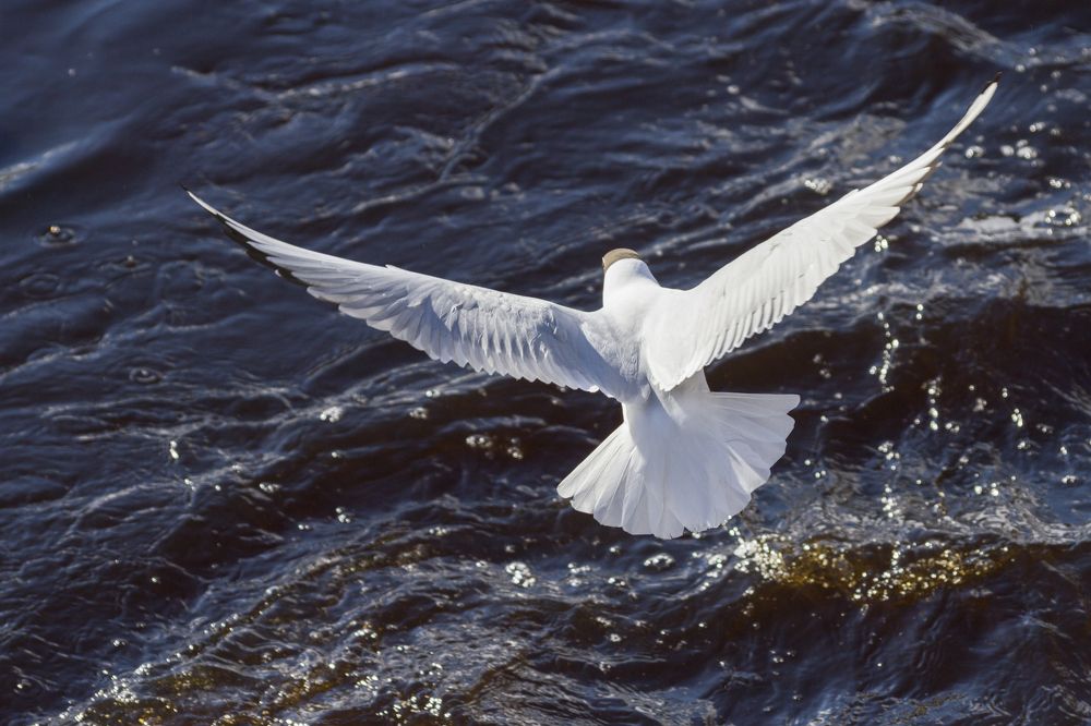 Photograph by Pavel Gukov