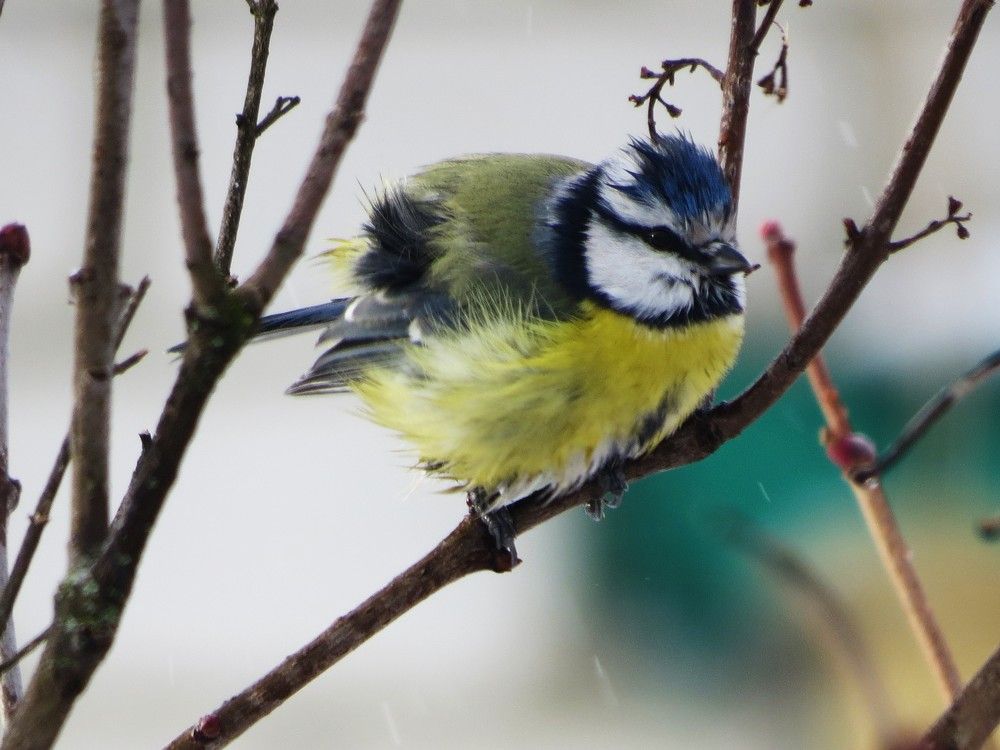 Photograph by Лариса Басова