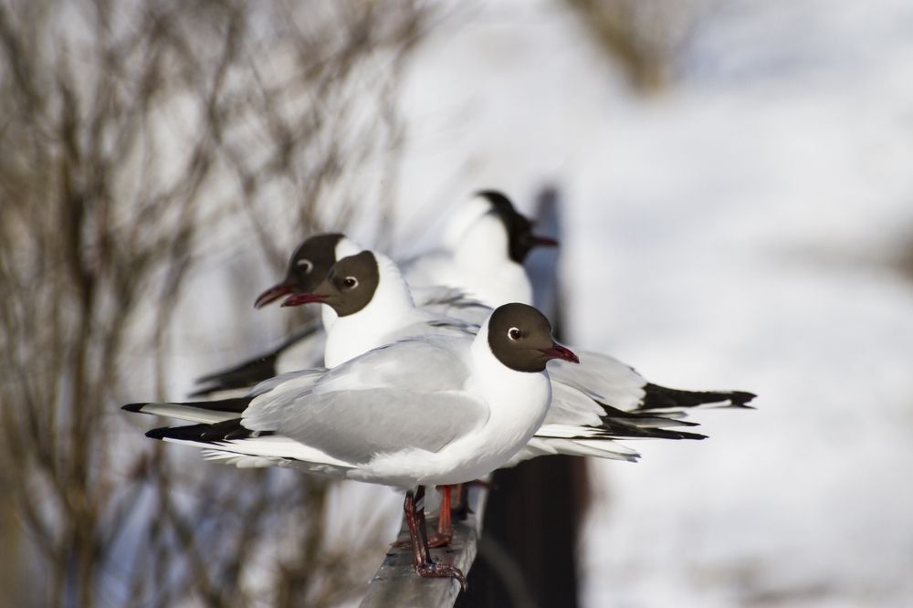 Photograph by Pavel Gukov