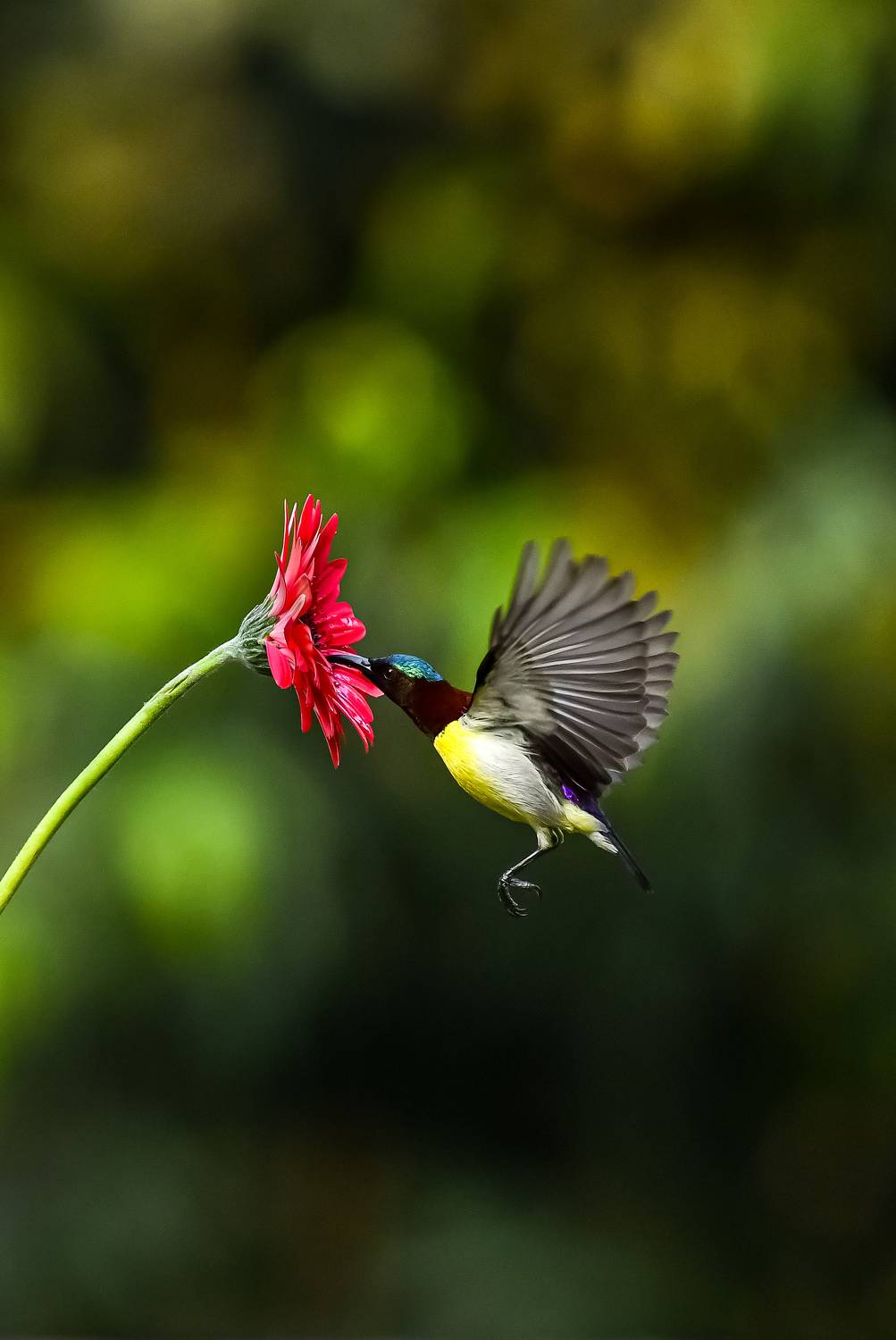 Фотография #11080780