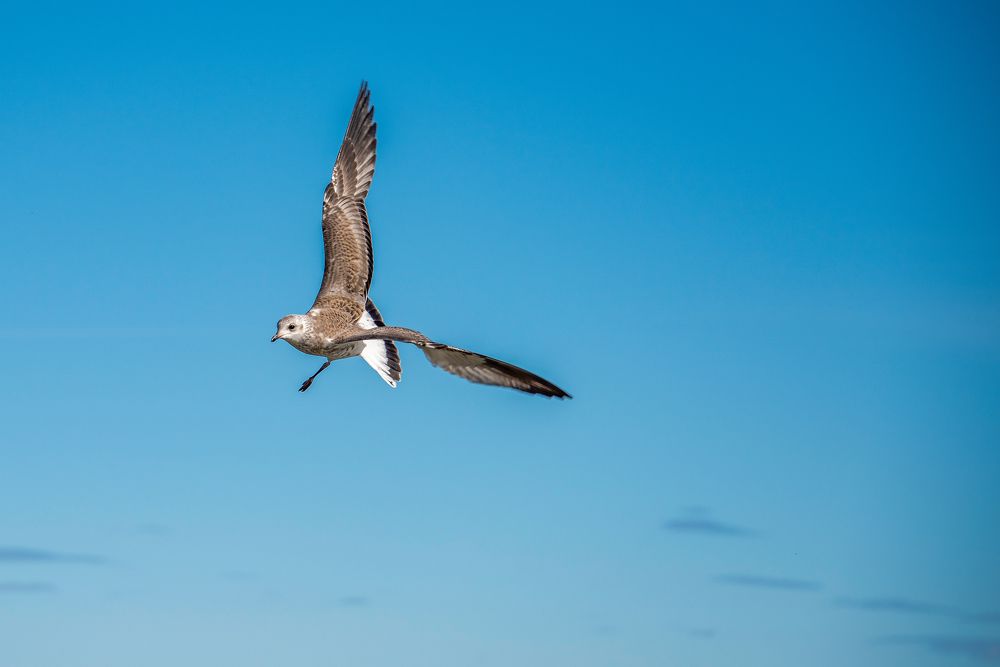 Photograph by Кадырова Марина