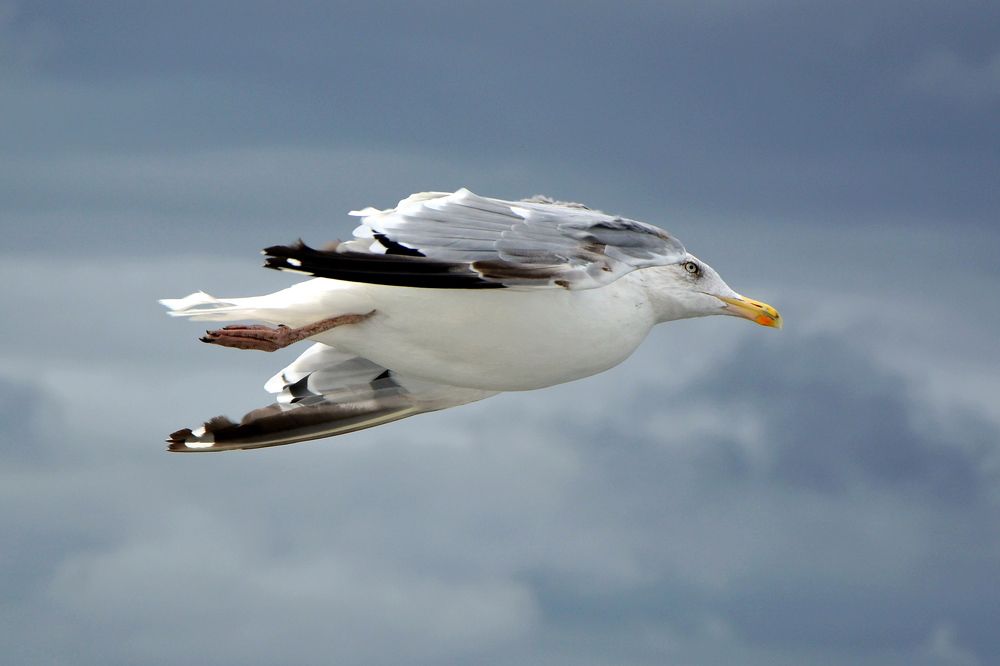 Photograph by DMITRIY DULIN