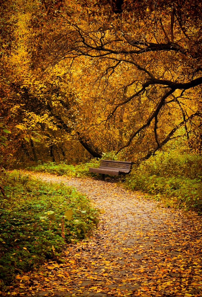 Photograph by Ivan Suslov