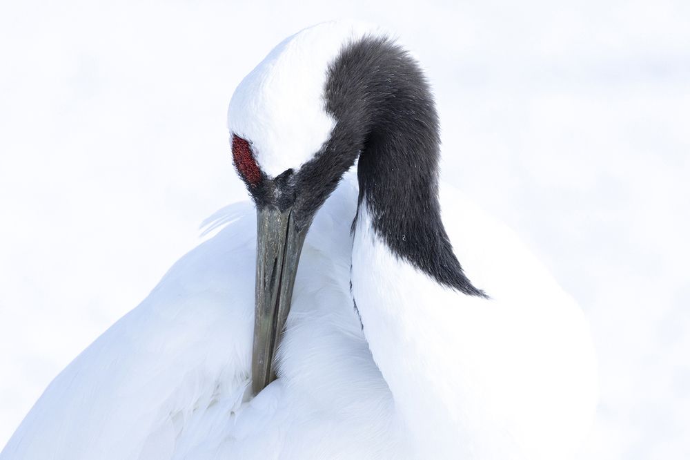 Photograph by Manaska Mukhopadhyay