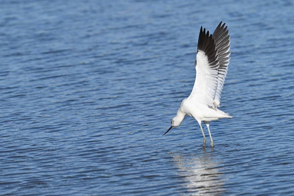 Photograph by Tyler Dewees