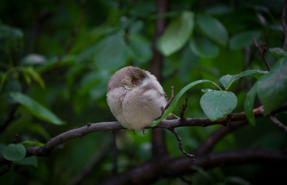 Photograph by Ivan Suslov