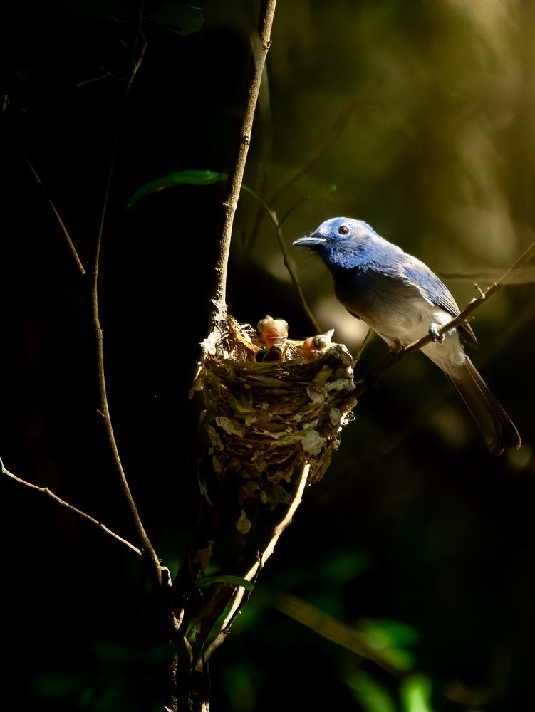 Photograph by Chathuranga Deshapriya