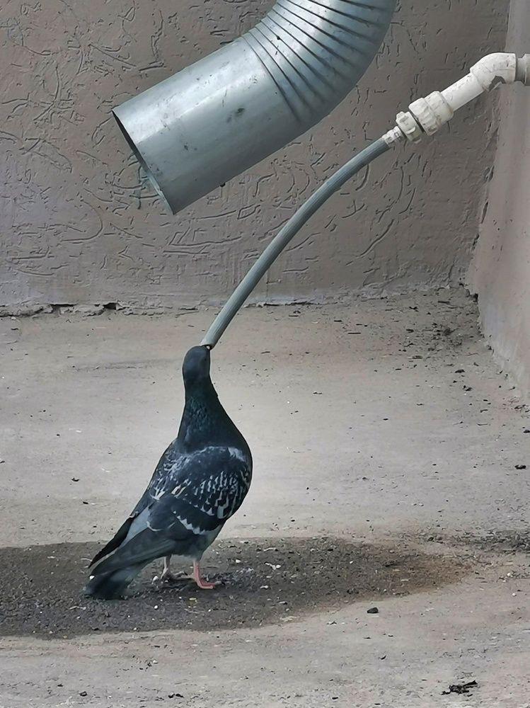 Photograph by Светлана Смирнова