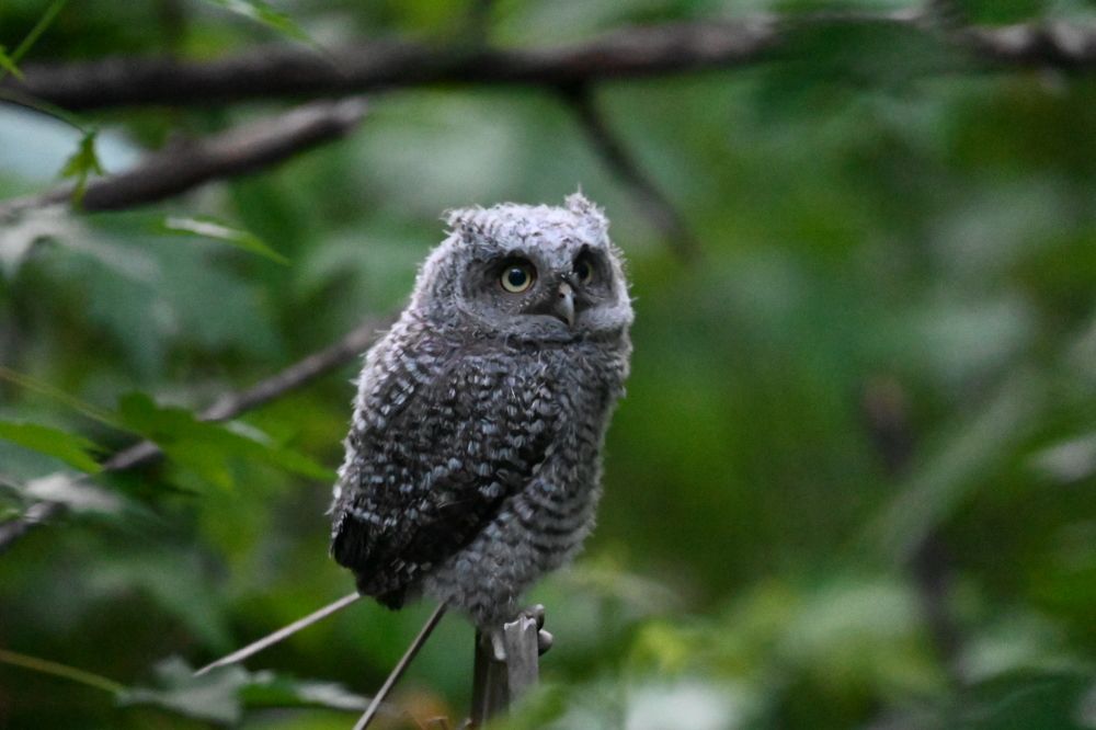 Photograph by Tyler Dewees