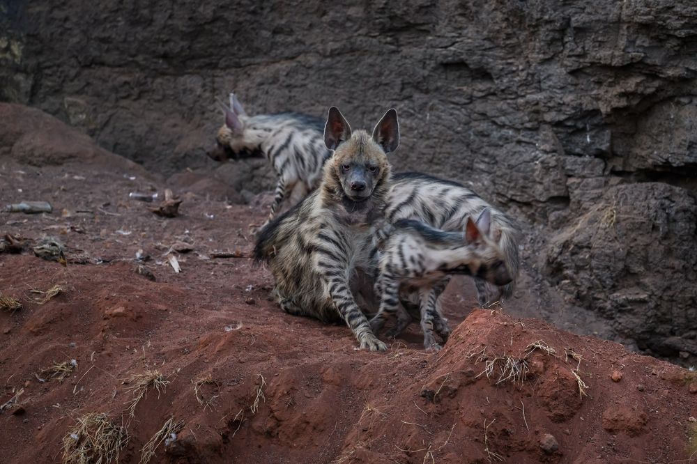 Photograph by Nabarun Majumdar