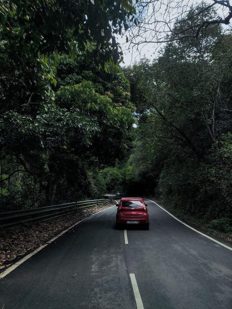 Photograph by ASWIN KUMAR S