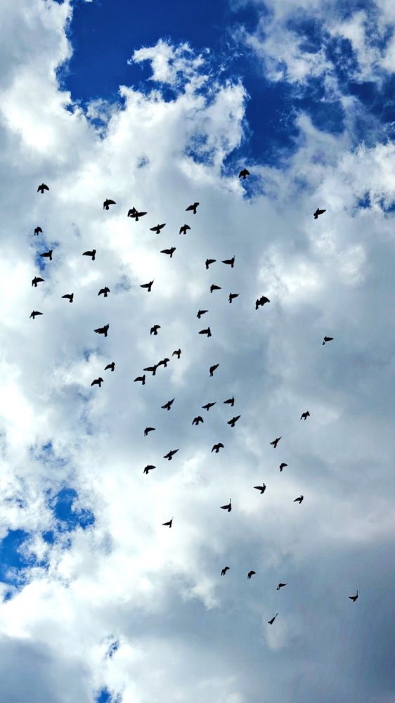 Photograph by Виталий Черепенькин