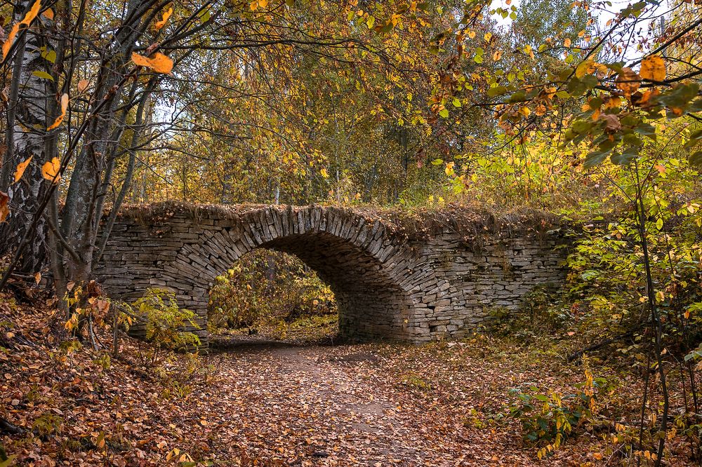 Photograph by Светлана Ващенко