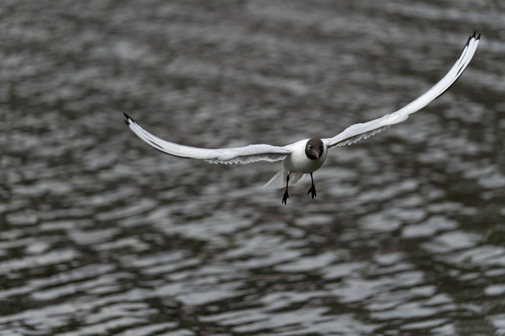 Photograph by Михаил Харитонычев
