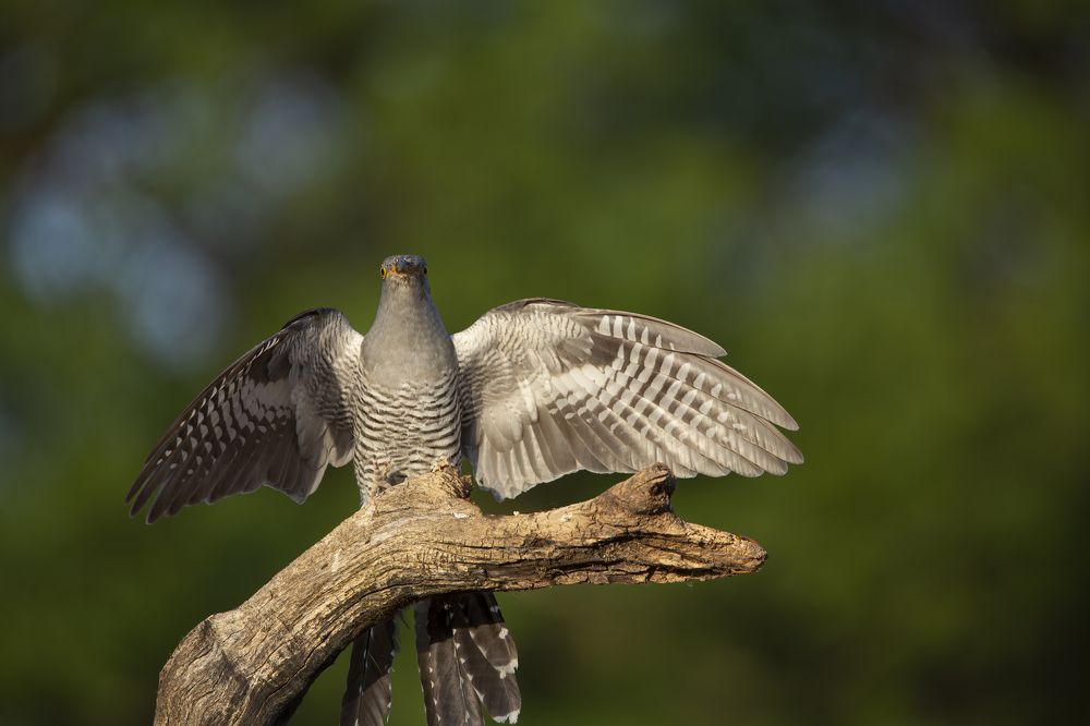 Photograph by alvaro berben marin