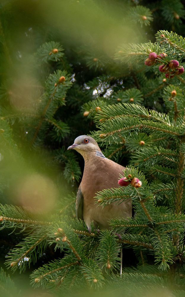 Photograph by Ольга