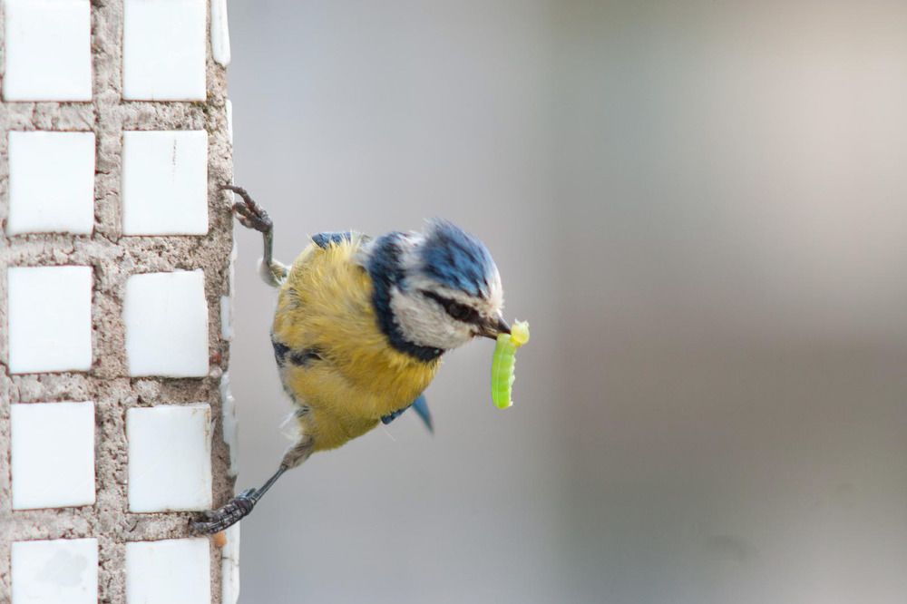 Photograph by Сэрж По