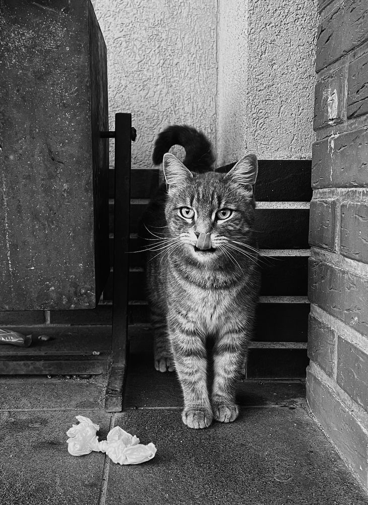 Photograph by Олеся Королева