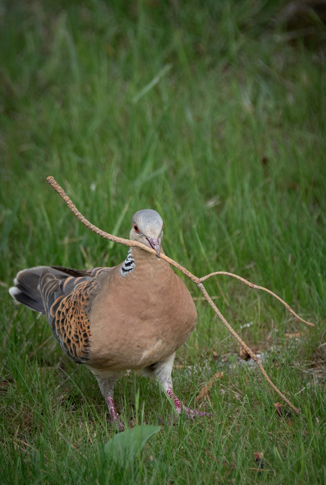 Photograph by Ольга