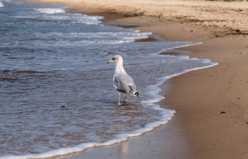 Photograph by Александр Ермоленко