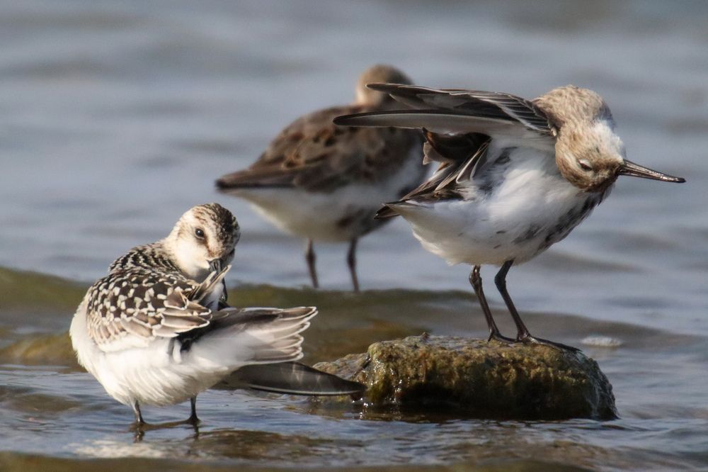 Photograph by Evgenia Korchagova