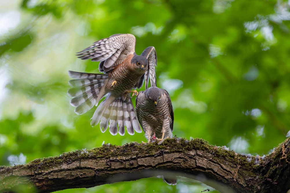 Photograph by Антон Науменко