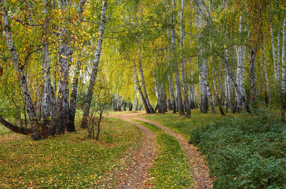 Photograph by Евгений Гецев