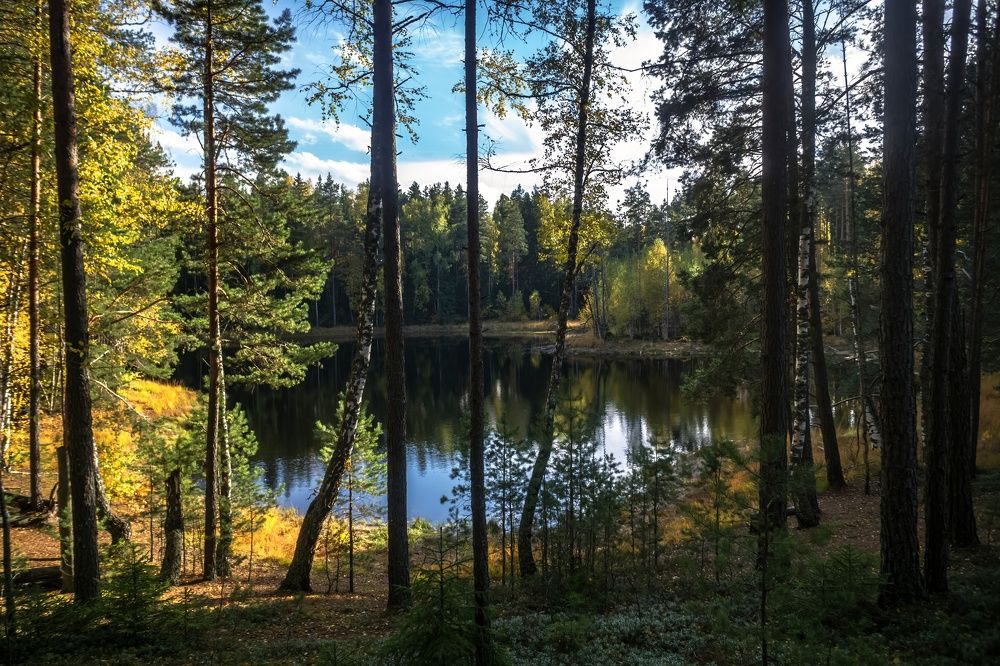 Photograph by Сергей Хабаров