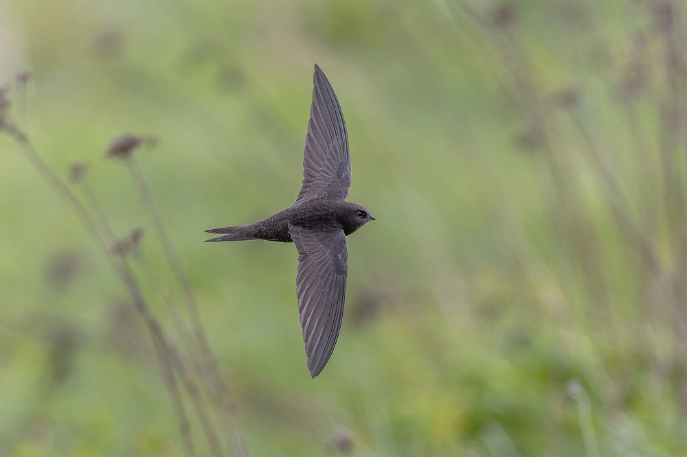 Photograph by Антон Науменко