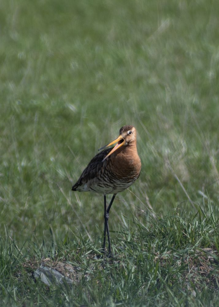 Photograph by Евгений Гецев