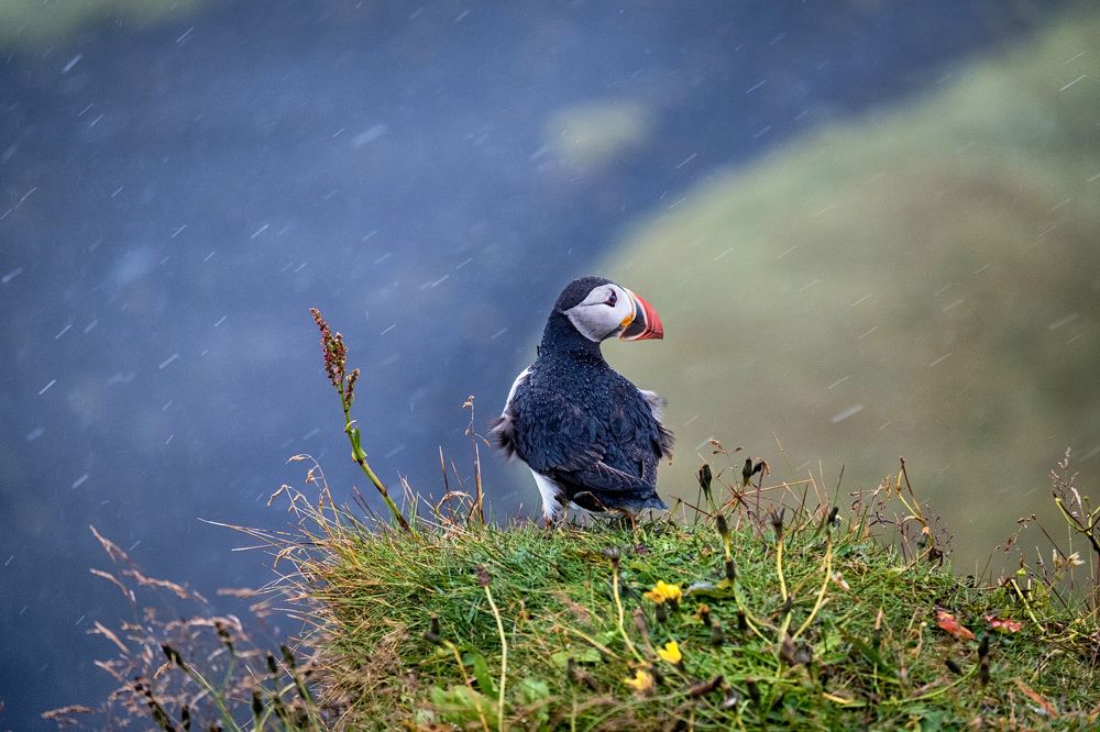 Photograph by Станислав Дроздов