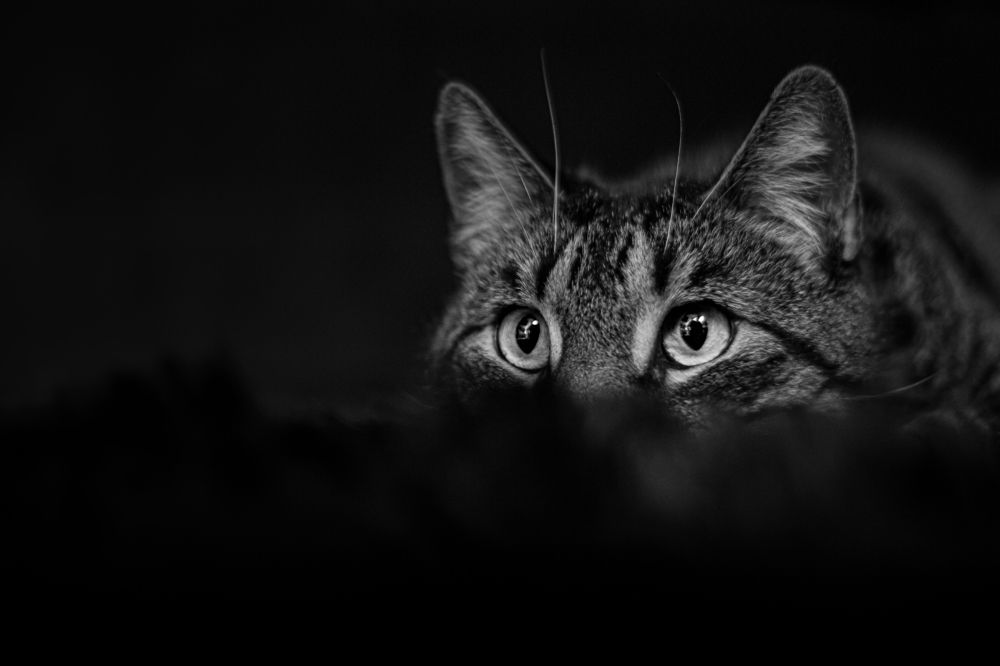 Photograph by Eduardo Alvarado