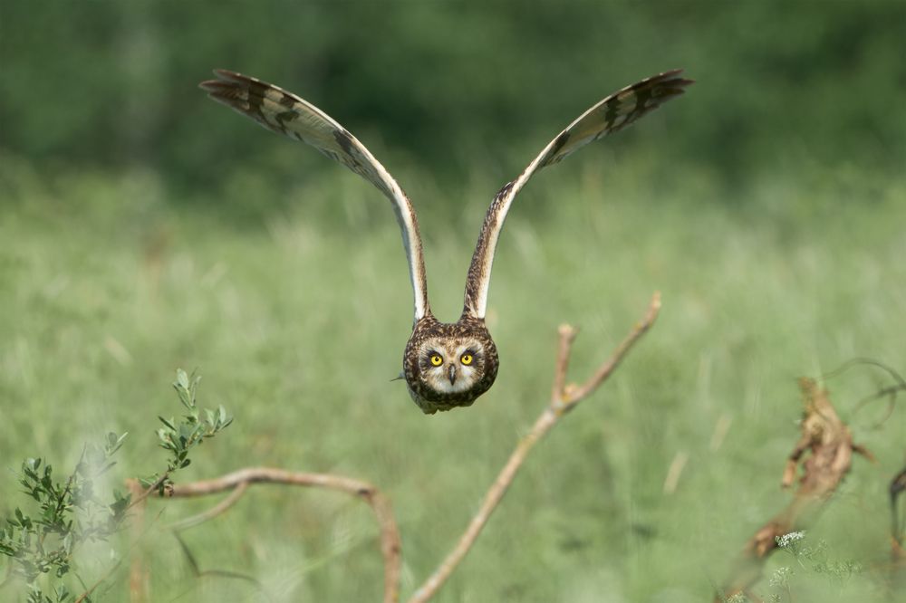 Photograph by Николай Игумнов